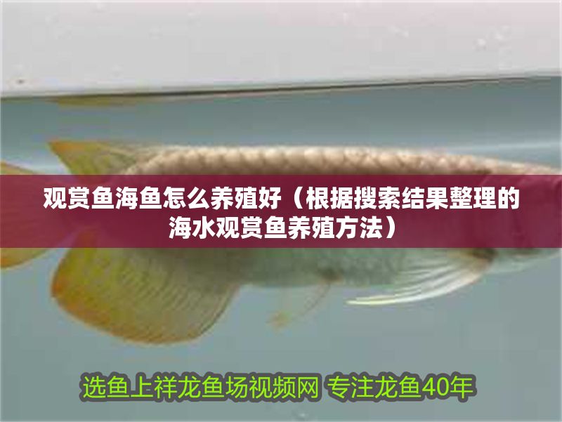 觀賞魚海魚怎么養(yǎng)殖好（根據(jù)搜索結(jié)果整理的海水觀賞魚養(yǎng)殖方法）