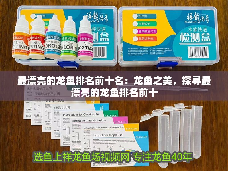 最漂亮的龍魚排名前十名：龍魚之美，探尋最漂亮的龍魚排名前十