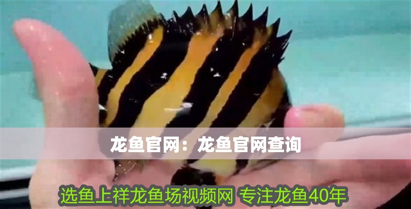 龍魚官網(wǎng)：龍魚官網(wǎng)查詢