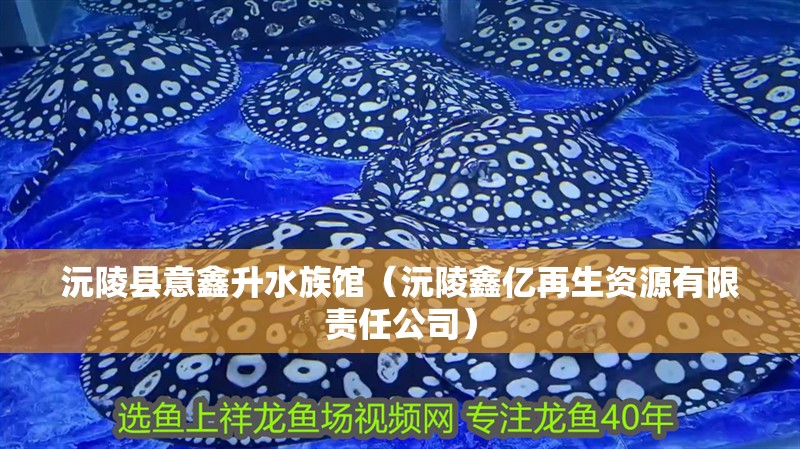 沅陵縣意鑫升水族館（沅陵鑫億再生資源有限責任公司）