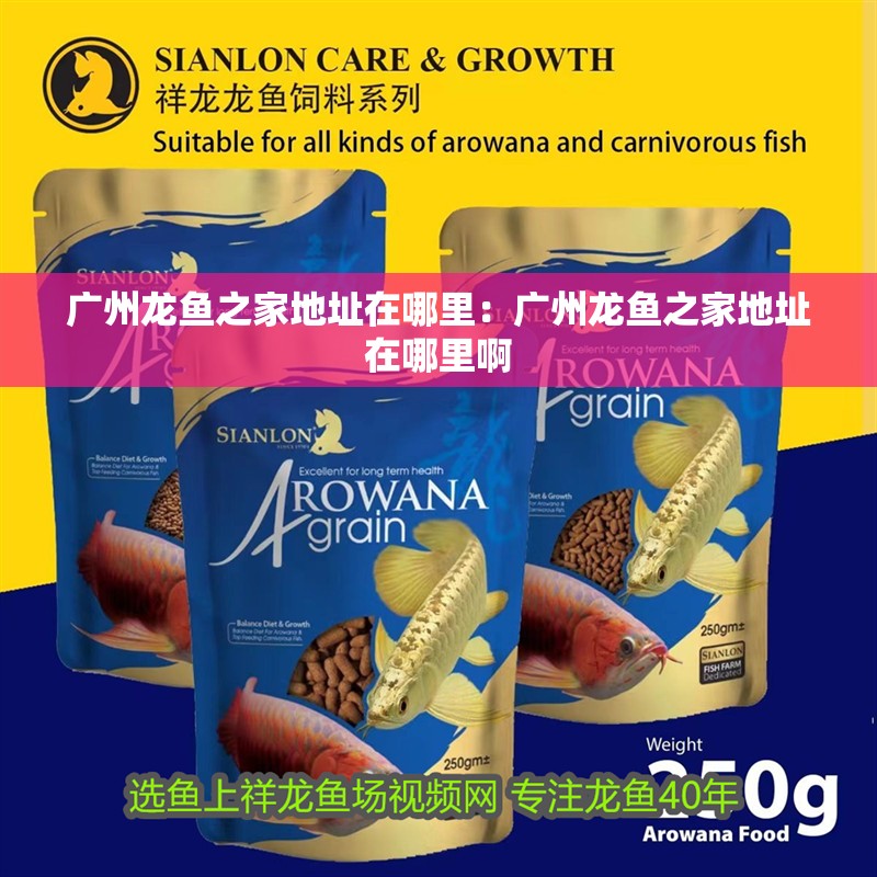 廣州龍魚之家地址在哪里：廣州龍魚之家地址在哪里啊