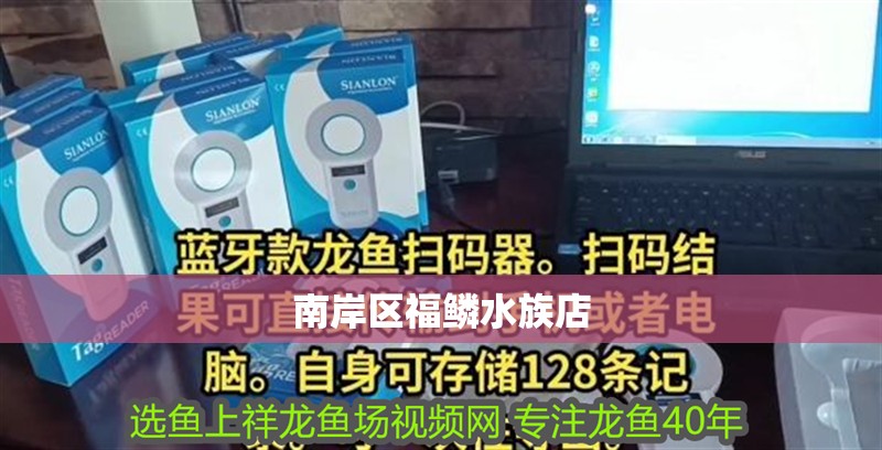 南岸區福鱗水族店
