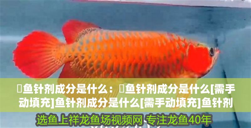 魟魚針劑成分是什么：魟魚針劑成分是什么[需手動填充]魚針劑成分是什么[需手動填充]魚針劑成分是什么