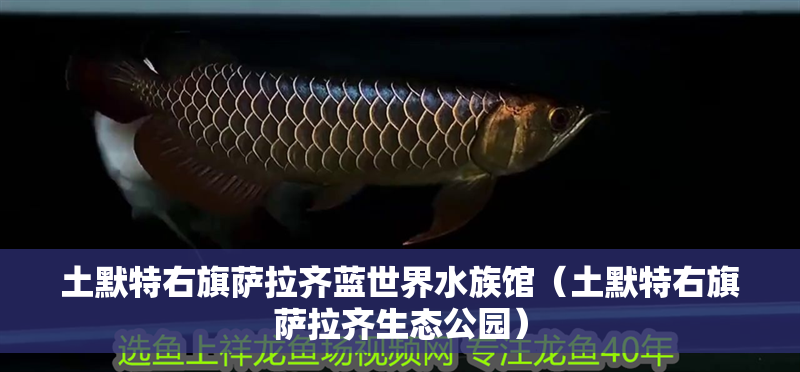 土默特右旗薩拉齊藍世界水族館（土默特右旗薩拉齊生態(tài)公園）