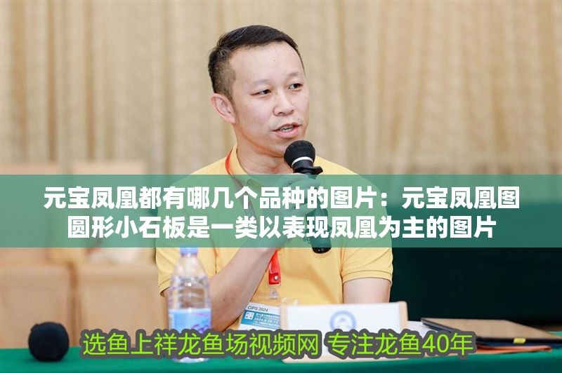 元寶鳳凰都有哪幾個品種的圖片：元寶鳳凰圖圓形小石板是一類以表現(xiàn)鳳凰為主的圖片