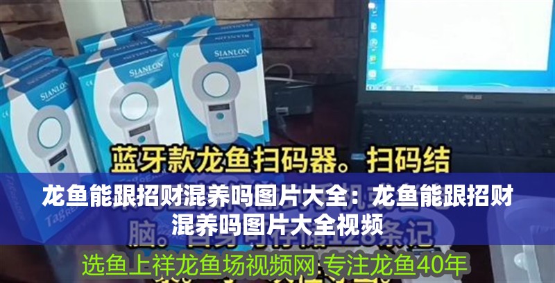 龍魚能跟招財混養嗎圖片大全：龍魚能跟招財混養嗎圖片大全視頻