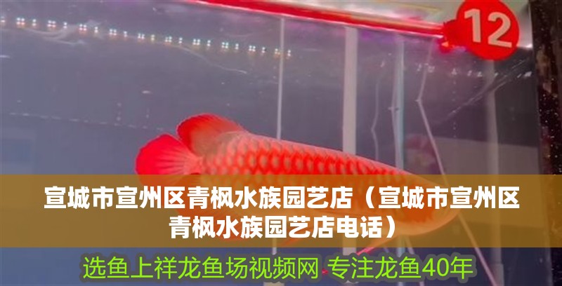 宣城市宣州區(qū)青楓水族園藝店（宣城市宣州區(qū)青楓水族園藝店電話）