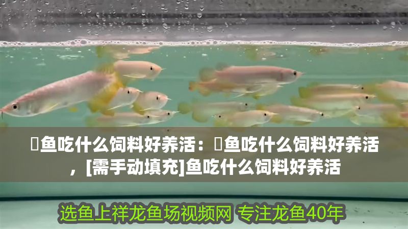 魟魚吃什么飼料好養活：魟魚吃什么飼料好養活，[需手動填充]魚吃什么飼料好養活