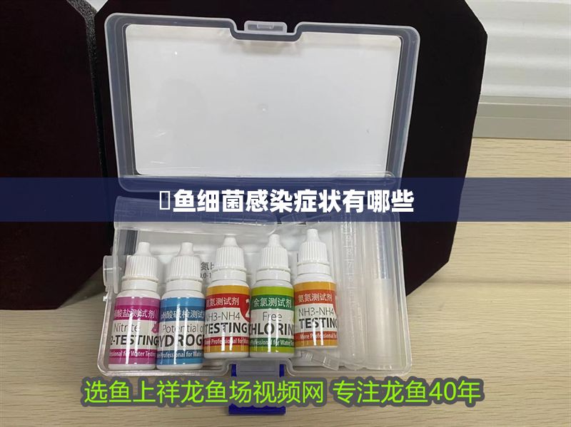 魟魚細菌感染癥狀有哪些 魟魚細菌感染癥狀有哪些 魟魚百科 第2張