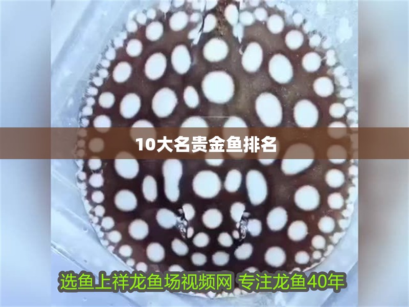 10大名貴金魚排名