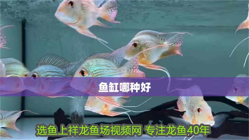 魚缸哪種好