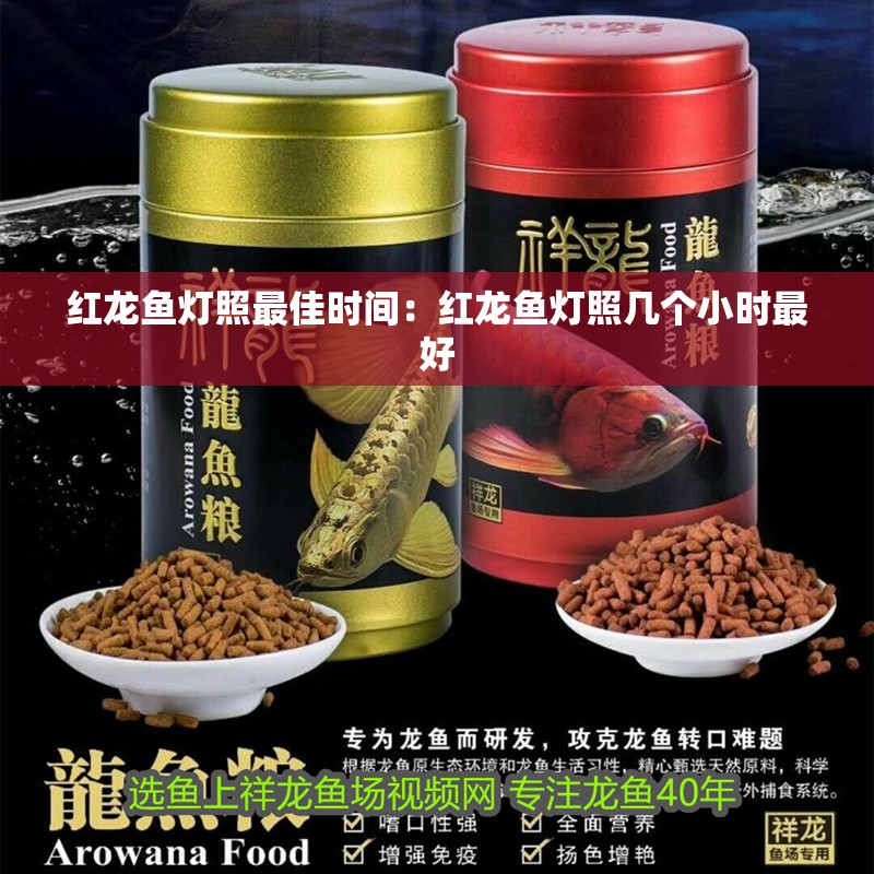 紅龍魚燈照最佳時(shí)間：紅龍魚燈照幾個(gè)小時(shí)最好