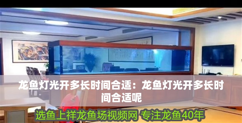 龍魚燈光開多長時間合適：龍魚燈光開多長時間合適呢 龍魚燈光開多長時間合適：龍魚燈光開多長時間合適呢 水族問答
