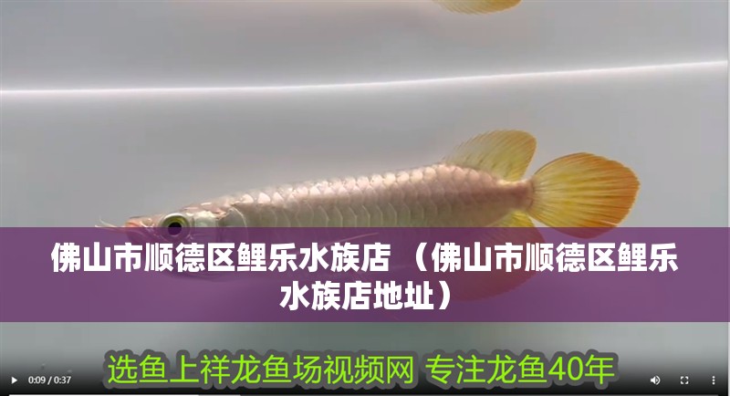 佛山市順德區鯉樂水族店 （佛山市順德區鯉樂水族店地址） 佛山市順德區鯉樂水族店 （佛山市順德區鯉樂水族店地址） 全國水族館企業名錄