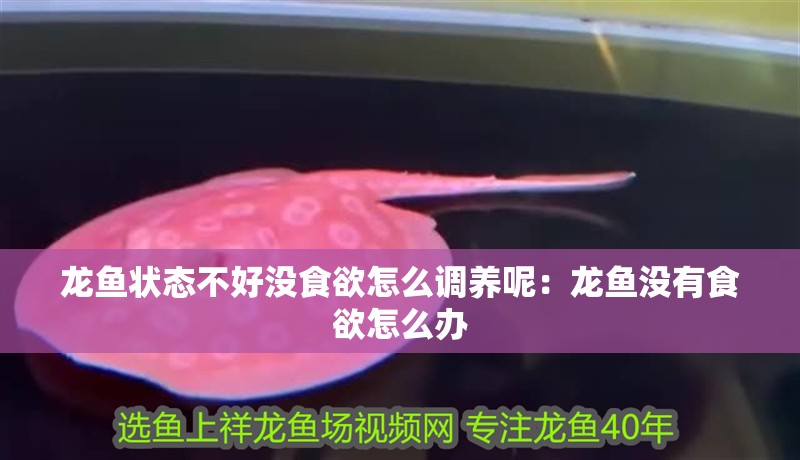 龍魚(yú)狀態(tài)不好沒(méi)食欲怎么調(diào)養(yǎng)呢:龍魚(yú)沒(méi)有食欲怎么辦 龍魚(yú)百科 第2張 龍魚(yú)狀態(tài)不好沒(méi)食欲怎么調(diào)養(yǎng)呢:龍魚(yú)沒(méi)有食欲怎么辦 龍魚(yú)狀態(tài)不好沒(méi)食欲怎么調(diào)養(yǎng)呢:龍魚(yú)沒(méi)有食欲怎么辦 龍魚(yú)百科 第2張