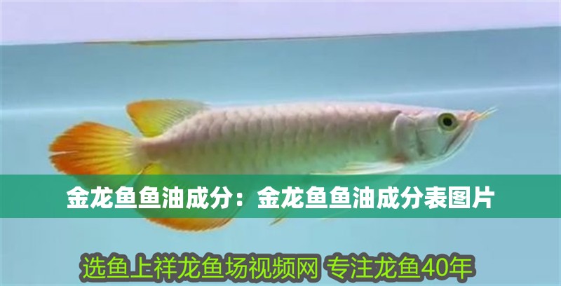 金龍魚(yú)魚(yú)油成分：金龍魚(yú)魚(yú)油成分表圖片