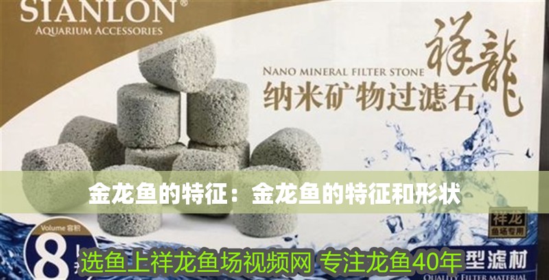 金龍魚的特征：金龍魚的特征和形狀