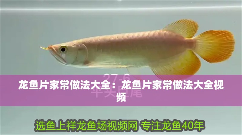 龍魚片家常做法大全：龍魚片家常做法大全視頻