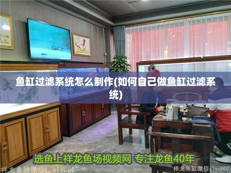 魚缸過濾系統怎么制作(如何自己做魚缸過濾系統) 魚缸過濾系統怎么制作(如何自己做魚缸過濾系統) 元寶鳳凰魚百科 第1張