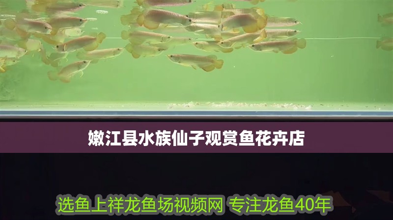 嫩江縣水族仙子觀賞魚花卉店 嫩江縣水族仙子觀賞魚花卉店 全國水族館企業名錄 第1張