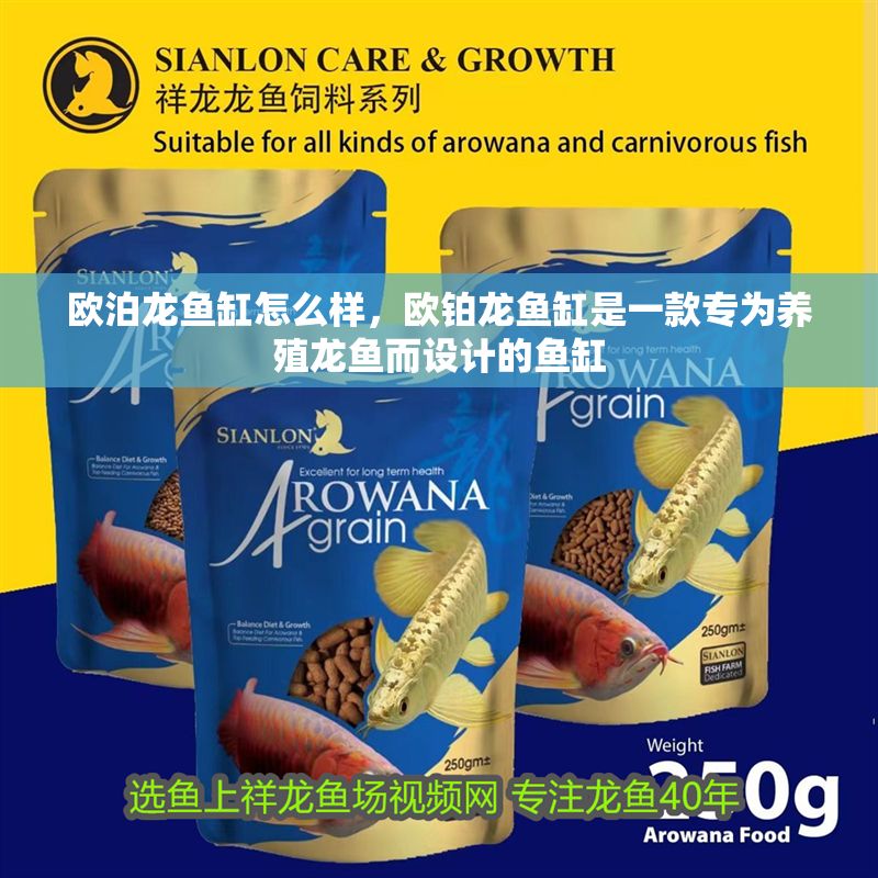 歐泊龍魚缸怎么樣，歐鉑龍魚缸是一款專為養殖龍魚而設計的魚缸