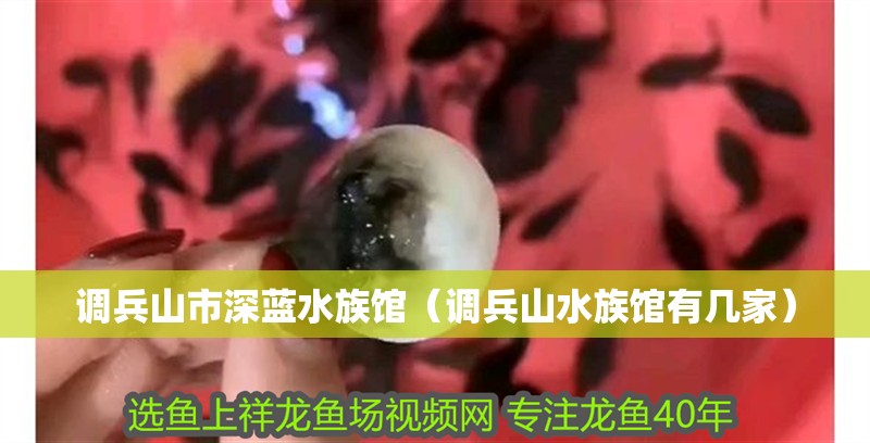 調兵山市深藍水族館（調兵山水族館有幾家）