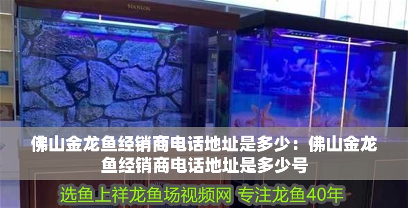 佛山金龍魚經銷商電話地址是多少：佛山金龍魚經銷商電話地址是多少號