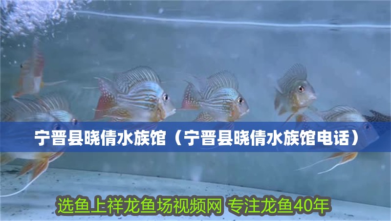 寧晉縣曉倩水族館（寧晉縣曉倩水族館電話）