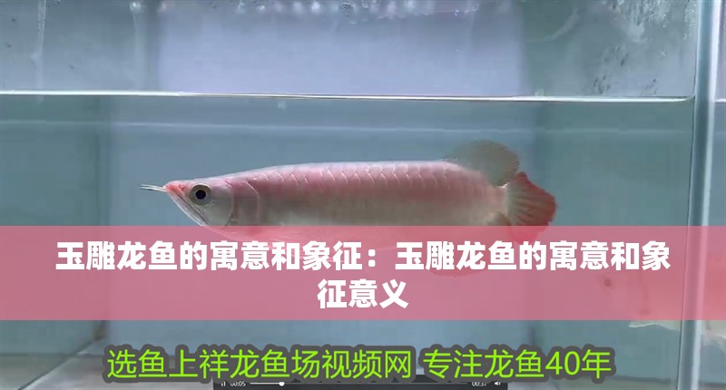 玉雕龍魚的寓意和象征：玉雕龍魚的寓意和象征意義