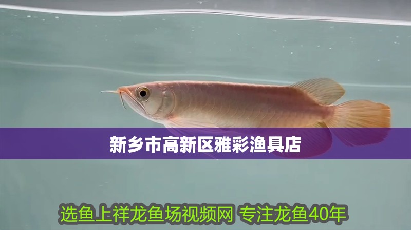 新鄉市高新區雅彩漁具店