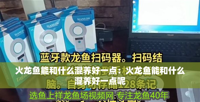 火龍魚能和什么混養好一點：火龍魚能和什么混養好一點呢