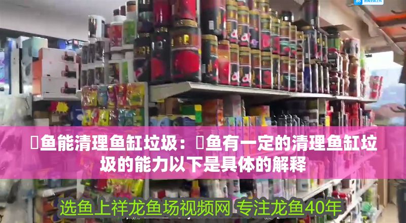 魟魚能清理魚缸垃圾:魟魚有一定的清理魚缸垃圾的能力以下是具體的解釋 魟魚百科 第2張 魟魚能清理魚缸垃圾:魟魚有一定的清理魚缸垃圾的能力以下是具體的解釋 魟魚能清理魚缸垃圾:魟魚有一定的清理魚缸垃圾的能力以下是具體的解釋 魟魚百科 第2張