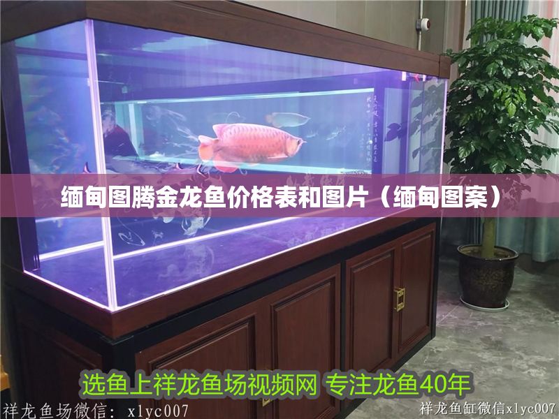 緬甸圖騰金龍魚價格表和圖片（緬甸圖案）