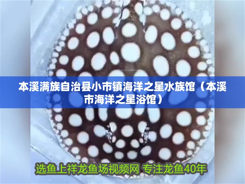 本溪滿族自治縣小市鎮(zhèn)海洋之星水族館（本溪市海洋之星浴館）