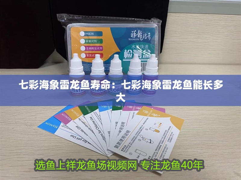 七彩海象雷龍魚壽命：七彩海象雷龍魚能長多大