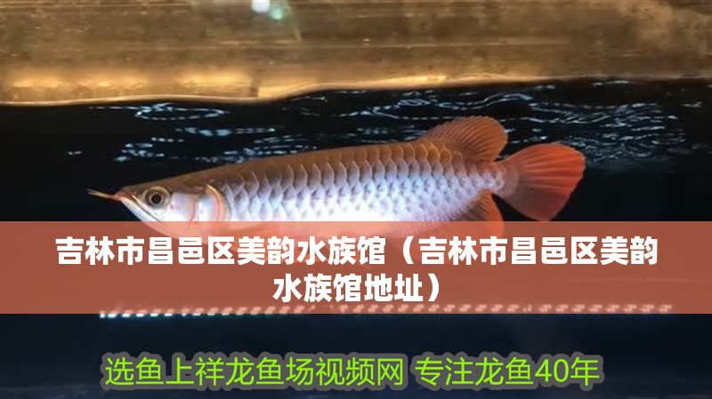 吉林市昌邑區美韻水族館（吉林市昌邑區美韻水族館地址）