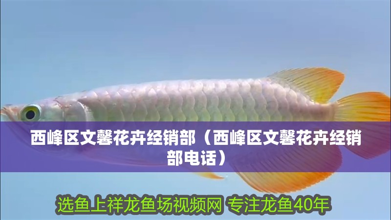 西峰區文馨花卉經銷部（西峰區文馨花卉經銷部電話）