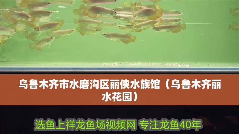 烏魯木齊市水磨溝區麗俠水族館(烏魯木齊麗水花園) 全國水族館企業名錄 第1張 烏魯木齊市水磨溝區麗俠水族館(烏魯木齊麗水花園) 烏魯木齊市水磨溝區麗俠水族館(烏魯木齊麗水花園) 全國水族館企業名錄 第1張