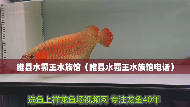 睢縣水霸王水族館（睢縣水霸王水族館電話）