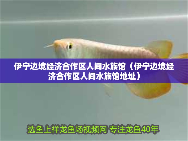 伊寧邊境經濟合作區人間水族館（伊寧邊境經濟合作區人間水族館地址）