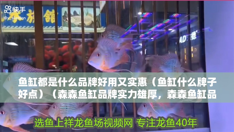 魚缸都是什么品牌好用又實惠（魚缸什么牌子好點）（森森魚缸品牌實力雄厚，森森魚缸品牌森森魚缸品牌）