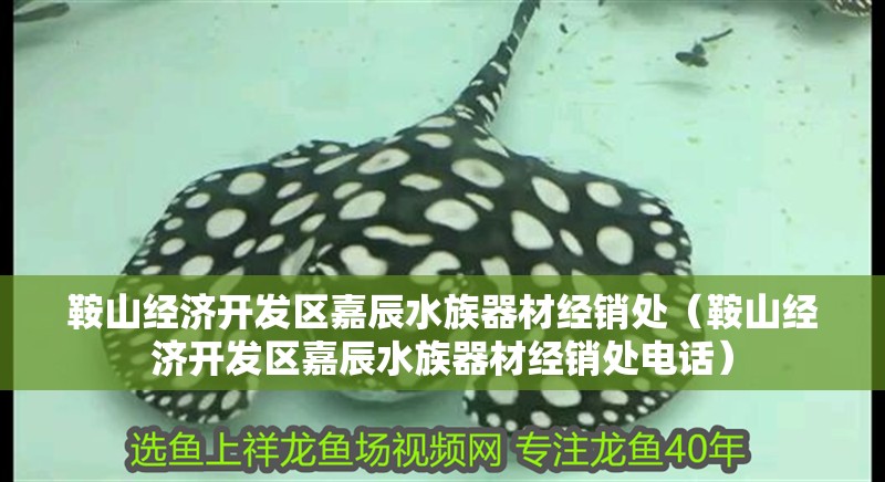 鞍山經濟開發區嘉辰水族器材經銷處（鞍山經濟開發區嘉辰水族器材經銷處電話）