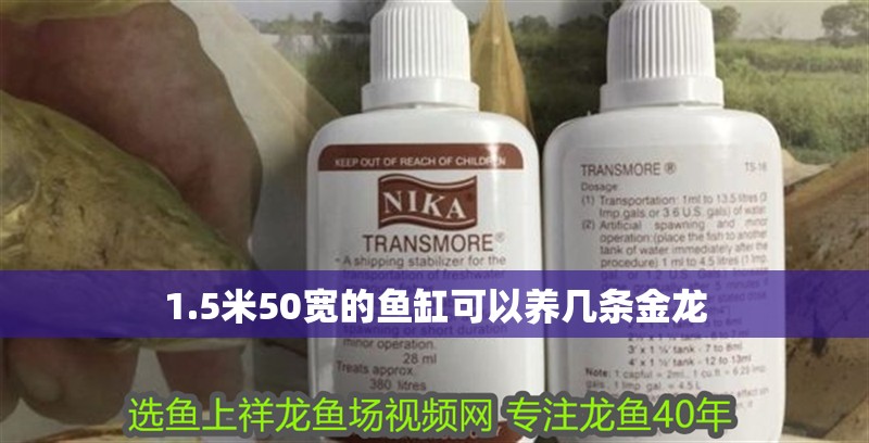 1.5米50寬的魚缸可以養幾條金龍