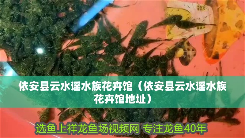 依安縣云水謠水族花卉館（依安縣云水謠水族花卉館地址）