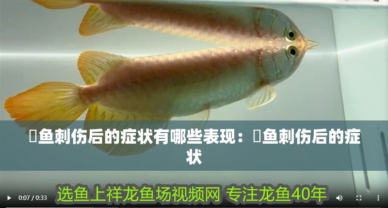 魟魚刺傷后的癥狀有哪些表現:魟魚刺傷后的癥狀 魟魚百科 第2張 魟魚刺傷后的癥狀有哪些表現:魟魚刺傷后的癥狀 魟魚刺傷后的癥狀有哪些表現:魟魚刺傷后的癥狀 魟魚百科 第2張