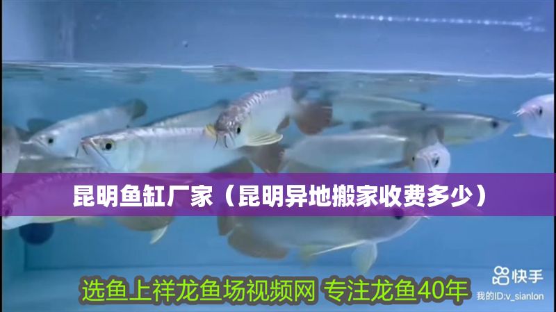 詳細(xì)閱讀:昆明魚缸廠家(昆明異地搬家收費(fèi)多少) 昆明魚缸廠家(昆明異地搬家收費(fèi)多少)