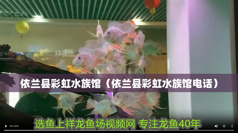 依蘭縣彩虹水族館（依蘭縣彩虹水族館電話）