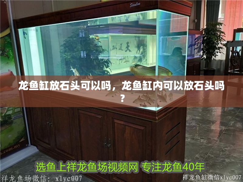 龍魚缸放石頭可以嗎，龍魚缸內可以放石頭嗎？