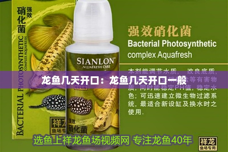 龍魚幾天開口：龍魚幾天開口一般