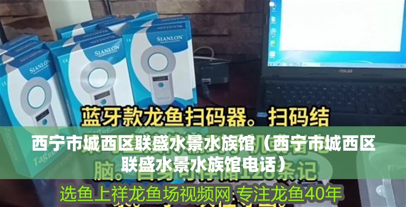 西寧市城西區(qū)聯(lián)盛水景水族館（西寧市城西區(qū)聯(lián)盛水景水族館電話）